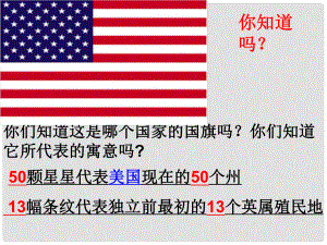 山東省東營市河口區(qū)實驗學(xué)校九年級歷史上冊 第12課 美國的誕生課件 新人教版