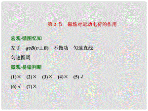 四川省昭覺中學(xué)高考物理第一輪復(fù)習(xí) 第八章 第2節(jié) 磁場對運動電荷的作用課件