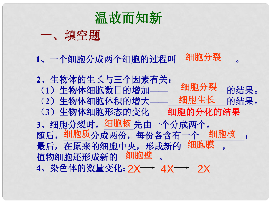 廣東省臺(tái)山市新寧中學(xué)七年級(jí)生物上冊(cè) 第二單元 第二章 第二節(jié) 動(dòng)物體的結(jié)構(gòu)層次課件 （新版）新人教版_第1頁