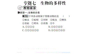 中考生物 專題綜合突破 專題七 生物的多樣性課件