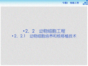 優(yōu)化方案高中生物 專(zhuān)題2.2.1 動(dòng)物細(xì)胞培養(yǎng)和核移植技術(shù)課件 新人教版選修3