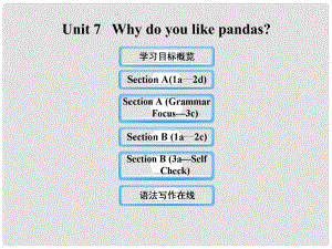 六年級(jí)英語下冊(cè) Unit 7 Why do you like pandas課件 魯教版五四制