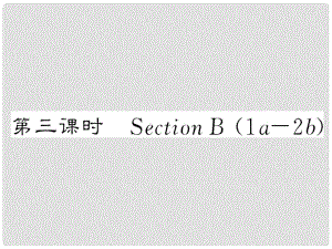 八年級英語上冊 Unit 6 I’m going to study computer science（第3課時）Section B課件 （新版）人教新目標(biāo)版