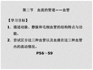 七年級生物下冊 第四章 第二節(jié) 血流的管道─血管課件 新人教版