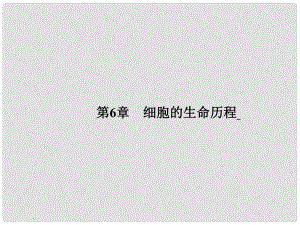 高考生物一輪總復習 第十四課時 細胞的增殖課件 新人教版必修1