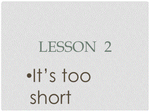 三年級英語下冊 Lesson 2《It’s too short》課件1 科普版