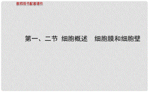 高中生物 第二章 第一、二節(jié) 細胞概述 細胞膜和細胞壁課件 浙科版必修1