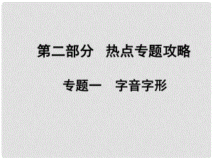 中考語文 熱點專題攻略 專題一 字音字形課件