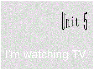 山東省東營市河口區(qū)實(shí)驗(yàn)學(xué)校七年級英語下冊 Unit 6 I’m watching TV課件 （新版）人教新目標(biāo)版