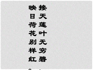 甘肅省臨澤縣第二中學八年級語文下冊 第五單元 清塘荷韻課件 （新版）北師大版