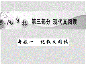 中考語(yǔ)文二輪復(fù)習(xí) 專題能力提升 第三部分 現(xiàn)代文閱讀 專題一 記敘文閱讀（精練）課件