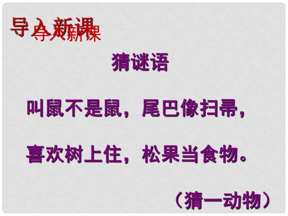 江苏省滨海县第一初级中学七年级语文下册 第四单元 第15课 松鼠课件 （新版）苏教版_第1页