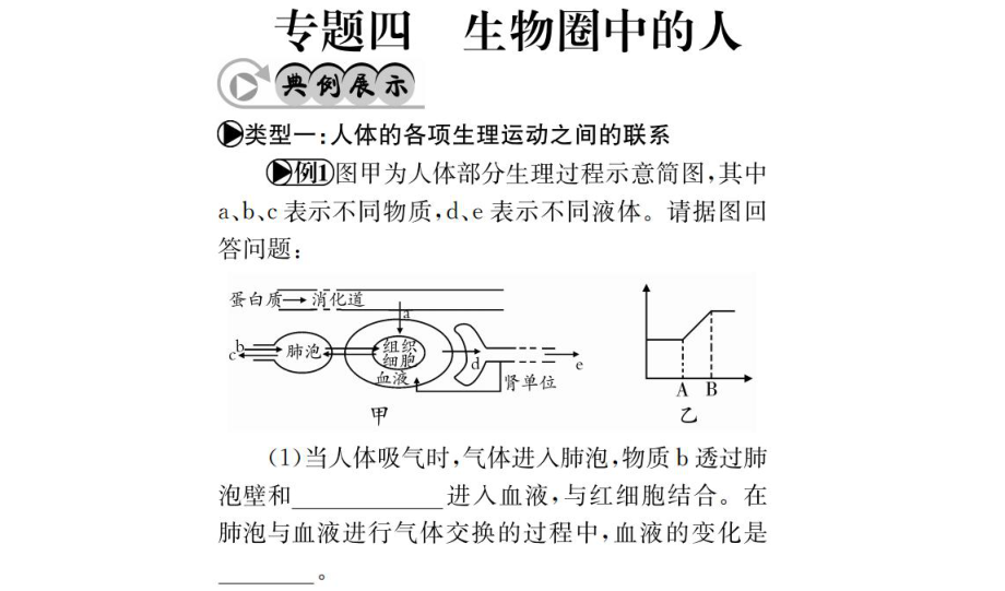 中考生物 專題綜合突破 專題四 生物圈中的人課件_第1頁