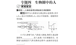 中考生物 專題綜合突破 專題四 生物圈中的人課件