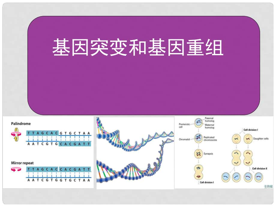 山東省淄博市淄川般陽中學(xué)高中生物 第五章 第一節(jié) 基因突變和重組課件1 新人教版必修2_第1頁