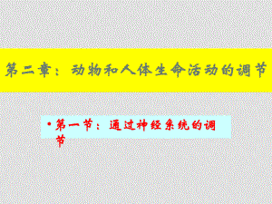 高中生物通過(guò)神經(jīng)系統(tǒng)的調(diào)節(jié)課件 人教版必修三