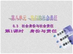 八年級政治下冊 第八單元 第三課 社會身份與責(zé)任 第1課時 身份與責(zé)任同步課件 粵教版