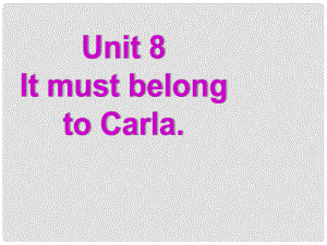 湖北省羅田縣李婆墩中學九年級英語全冊 Unit 8 It must belong to Carla Section A 3a3c課件 （新版）人教新目標版