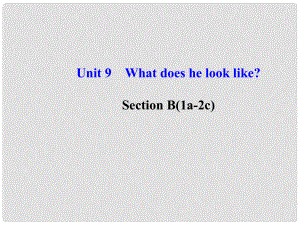 七年級(jí)英語(yǔ)下冊(cè) Unit 9 What does he look like Section B(1a2c)課件 （新版）人教新目標(biāo)版