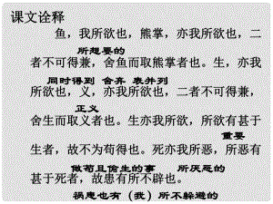 遼寧省東港市小甸子中學(xué)九年級語文下冊 19 魚我所欲也課件1 新人教版