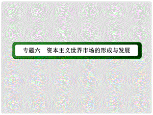 高考?xì)v史二輪專題復(fù)習(xí) 專題六 資本主義世界市場的形成與發(fā)展課件 新人教版