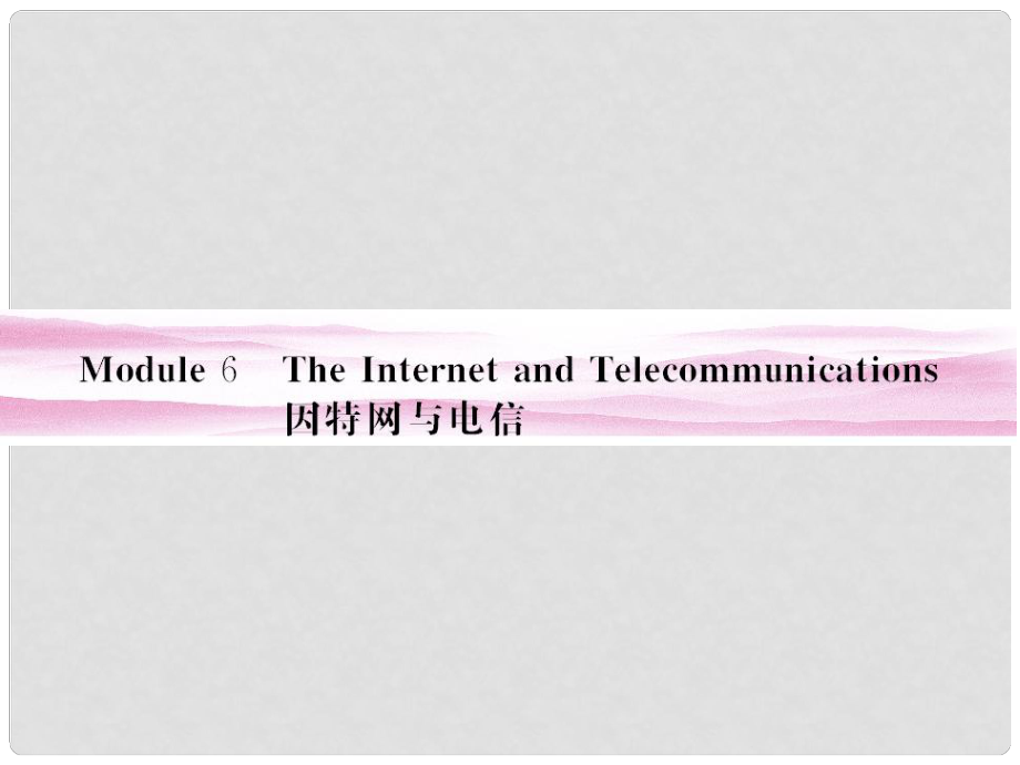 山東省高考英語總復(fù)習(xí) Module 6　The Internet and Telecommunications課件 外研版必修1_第1頁