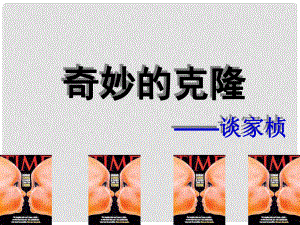 陜西省安康市紫陽縣紫陽中學(xué)初中部八年級語文上冊《第17課 奇妙的克隆》課件1 新人教版