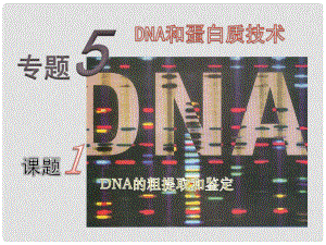 海南省文昌市高中生物《DNA的粗提取與鑒定》課件 新人教版選修1