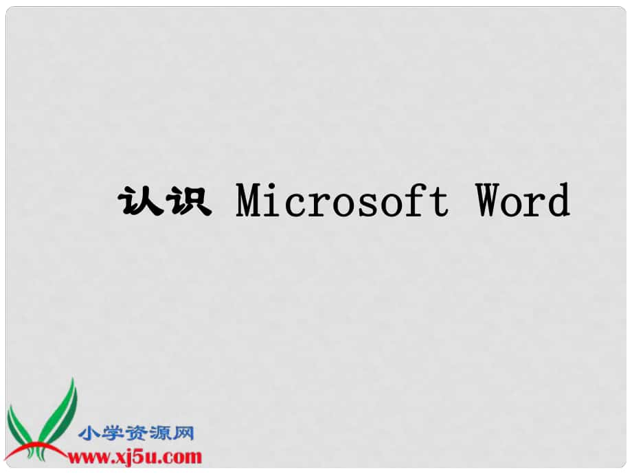 小學(xué)信息技術(shù)實(shí)操學(xué)習(xí) 認(rèn)識 Microsoft Word課件_第1頁