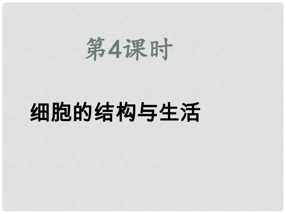 内蒙古鄂尔多斯康巴什新区第一中学七年级生物上册 第4课时 细胞的结构与生活复习课件 （新版）新人教版_第1页