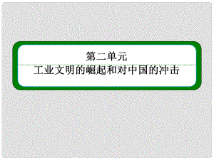 高中歷史 第8課 歐洲的殖民擴張與掠奪課件 岳麓版必修2