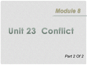 广东省高三英语第一轮总复习 Module8 Unit23 Conflict（2）课件 北师大版 新课标