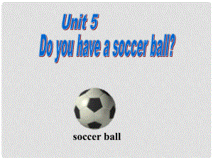 河南鶴壁市鶴山區(qū)實驗中學七年級英語上冊 Unit 5 Do you have a soccer ball？課件 （新版）人教新目標版