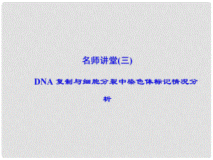 高考生物一輪復(fù)習(xí) 名師講堂3 DNA復(fù)制與細胞分裂中染色體標(biāo)記情況分析課件