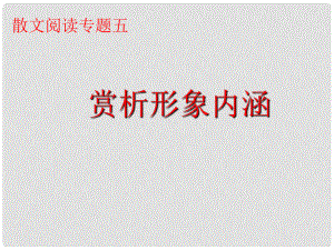 廣東省深圳市寶安區(qū)一中高三語文 賞析形象內涵復習課件