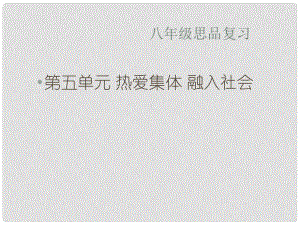 山東省廣饒縣花官鎮(zhèn)中心初中八年級政治下冊 第五單元 熱愛集體 融入社會復習課件 魯教版