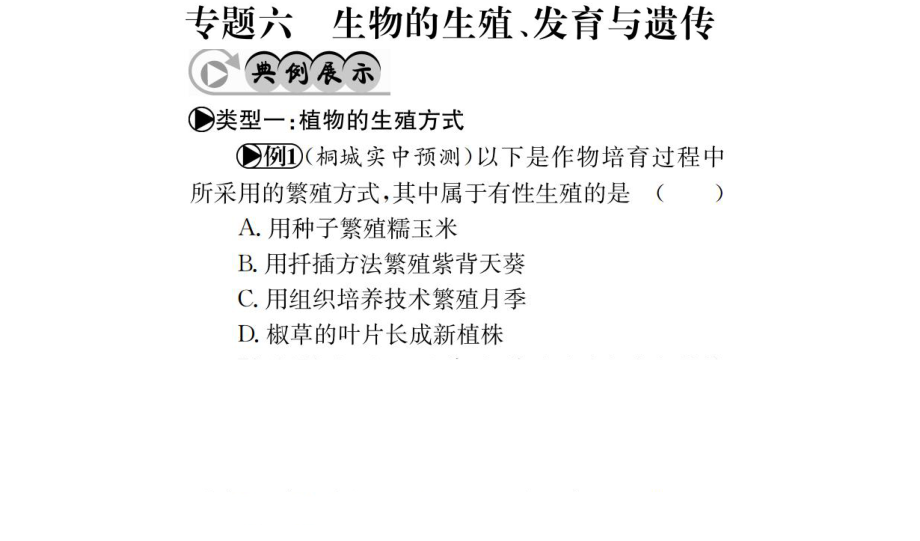 中考生物 專題綜合突破 專題六 生物的生殖、發(fā)育與遺傳課件_第1頁