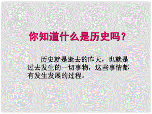 廣東省珠海市第九中學(xué)七年級歷史上冊 導(dǎo)言課件 新人教版