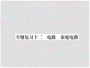 九年級(jí)物理下冊(cè) 專題復(fù)習(xí)12 電路 家庭電路課件 （新版）粵教滬版