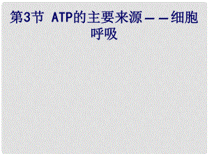 四川省儀隴宏德中學高中生物《53 ATP的主要來源 細胞呼吸》課件 新人教版必修1