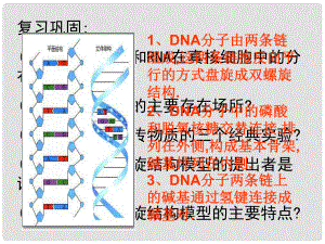 高二生物生物選修一　課題1 DNA的粗提取與鑒定課件