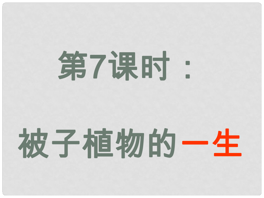 內蒙古鄂爾多斯康巴什新區(qū)第一中學七年級生物上冊 第7課時 被子植物的一生復習課件 （新版）新人教版_第1頁