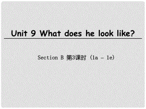 七年級英語下冊 Unit 9 What does he look like Section B（第3課時(shí)）課件 （新版）人教新目標(biāo)版