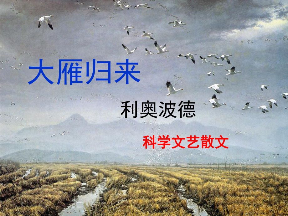 安徽省泗縣中學(xué)八年級(jí)語(yǔ)文下冊(cè) 第三單元 14《大雁歸來(lái)》課件 （新版）新人教版_第1頁(yè)