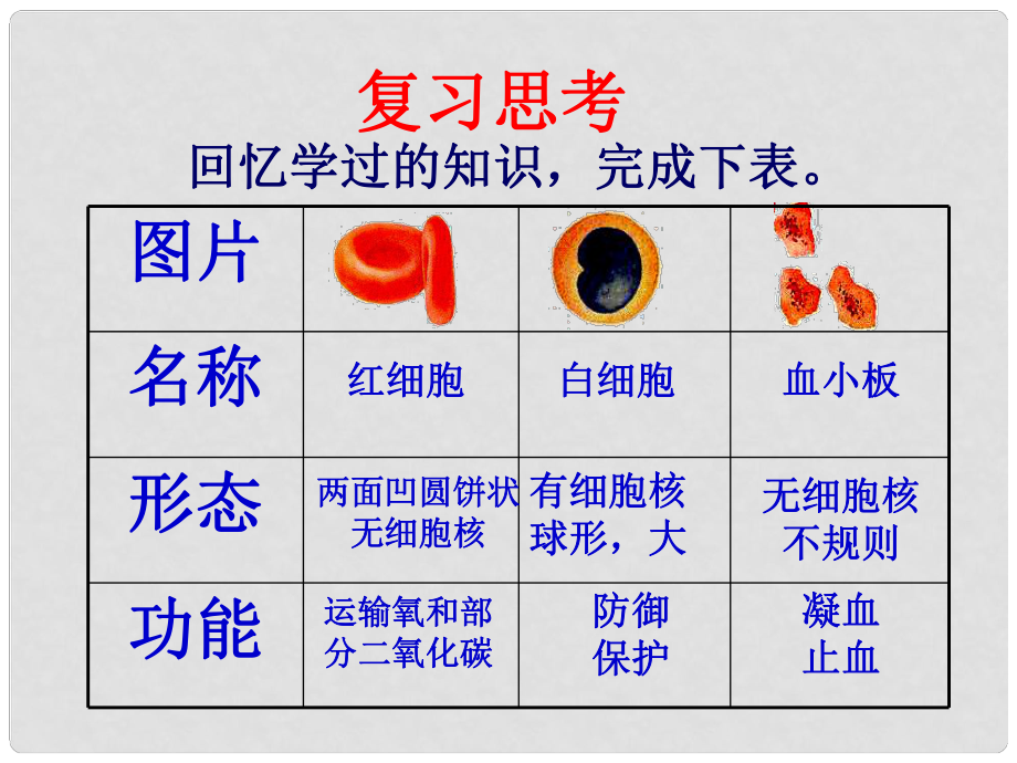 山東省淄博市臨淄區(qū)第八中學(xué)七年級生物下冊 4.2 血流的管道—血管課件 新人教版_第1頁