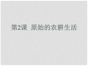 七年級歷史上冊 第二課 原始的農(nóng)耕生活課件 新人教版