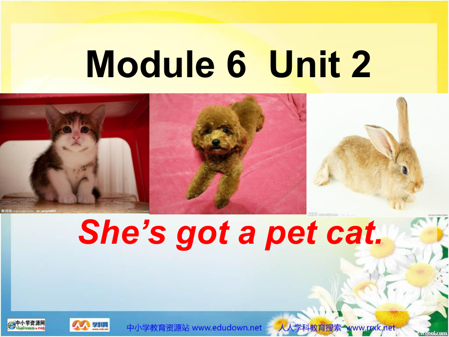 外研版(一起)三上Unit 2 She’s got a pet catppt課件_第1頁(yè)