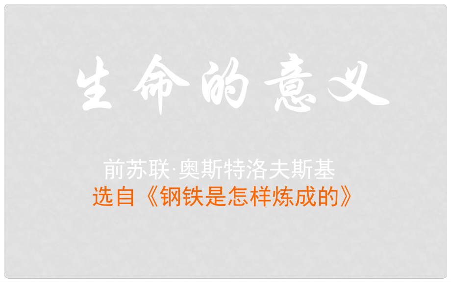 山东省淄博淄川区磁村镇中学中考语文 生命的意义课件_第1页