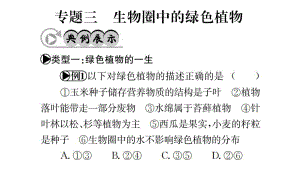 中考生物 專題綜合突破 專題三 生物圈中的綠色植物課件