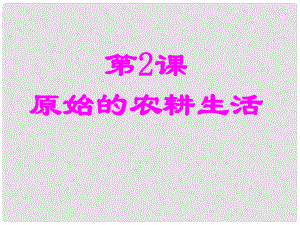 山東省臨沂市蒙陰縣第四中學(xué)七年級(jí)歷史上冊(cè) 第2課 原始的農(nóng)耕生活課件 新人教版